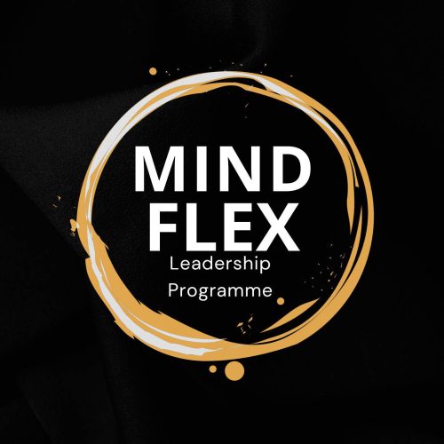 Shannon Leadership Programme​